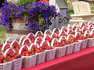 Strawberries at The Martintown Mill